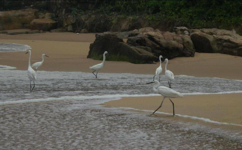 Karikkathi Beach House Thiruvananthapuram Kültér fotó